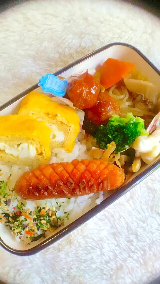 娘達のお弁当💕#女子高生 #女子大生 #姉妹弁当 #bennto #お弁当|123mamaさん