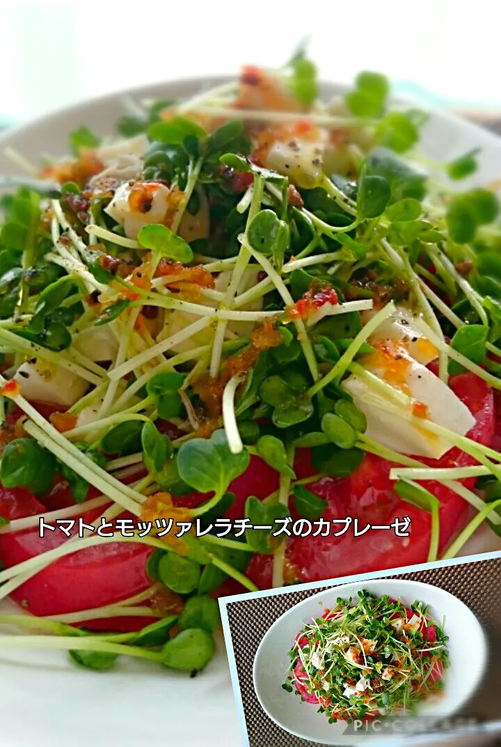 #我が家の一品料理
「トマトとモッツァレラチーズのカプレーゼふう」|kimi=kimi🌼Kitchenさん