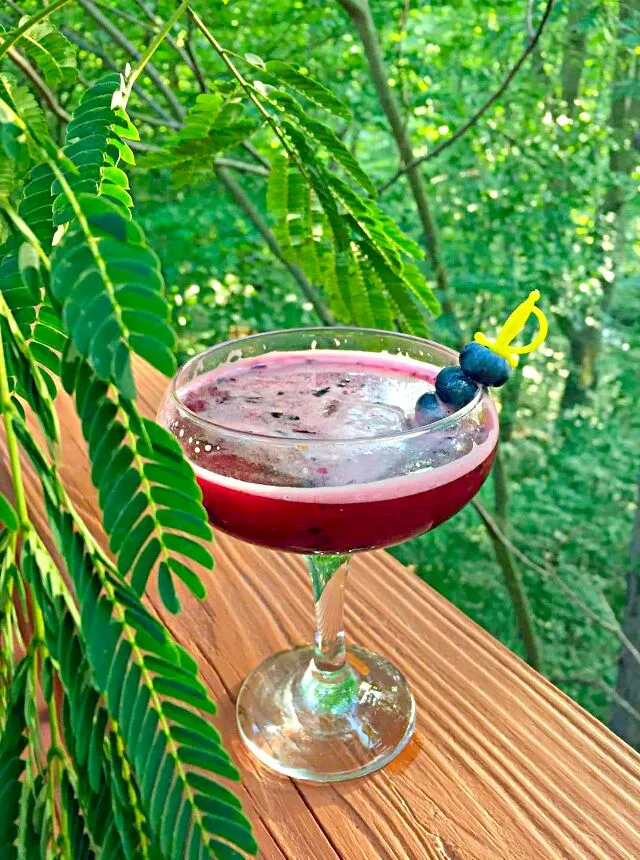 Snapdishの料理写真:blueberry gimlet...cheers!|Jiraphon Gさん