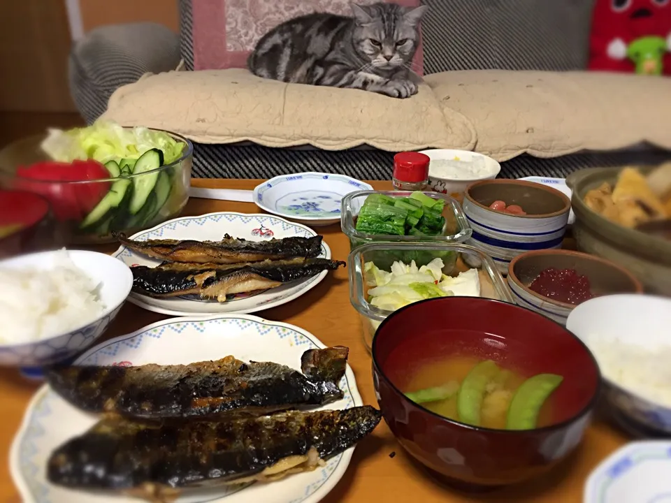 20170625🍚実家ごはん
#北海道グルメ #実家ごはん #鰊の一夜干し|akiyo22さん