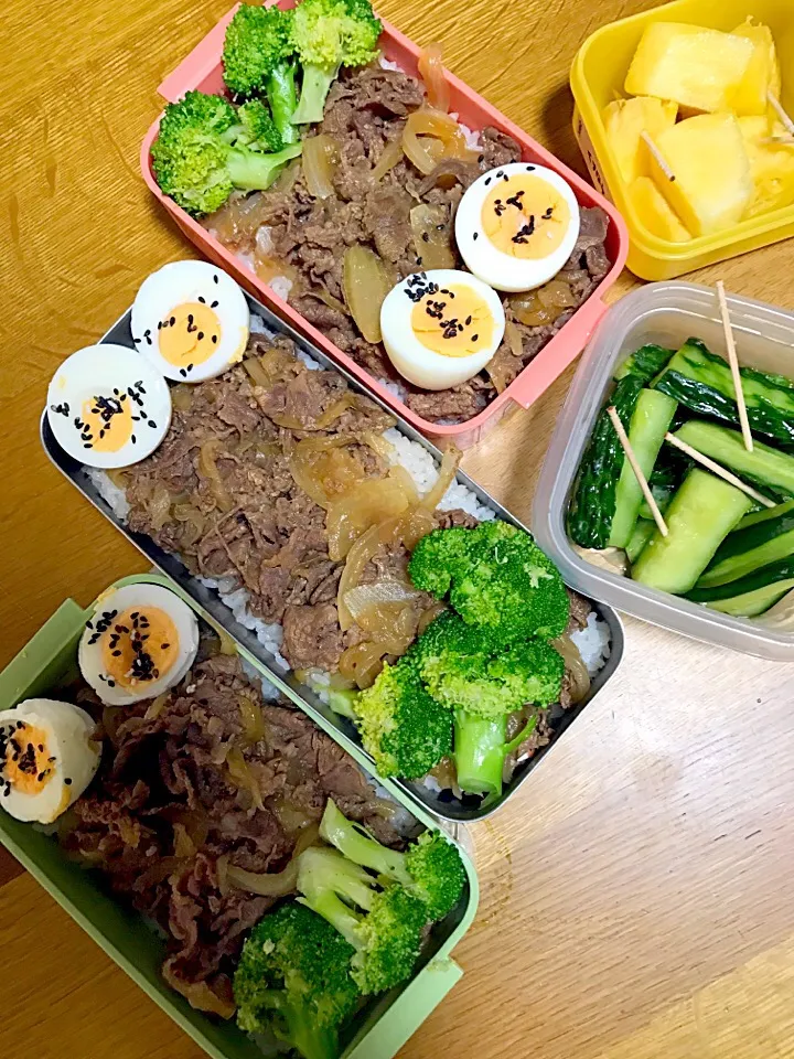 牛丼弁当。パパ仕事弁当、娘ミニバス、ママ応援弁当。|めぐりんさん