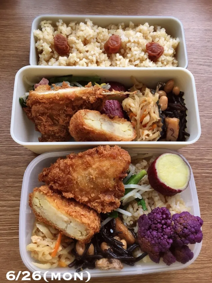 Snapdishの料理写真:6/26 お弁当|もっちさん