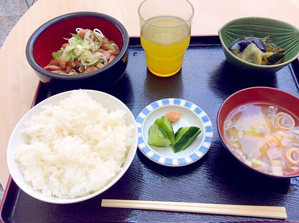 道の駅【甲斐大和】モツ煮込み定食|ひよこさん