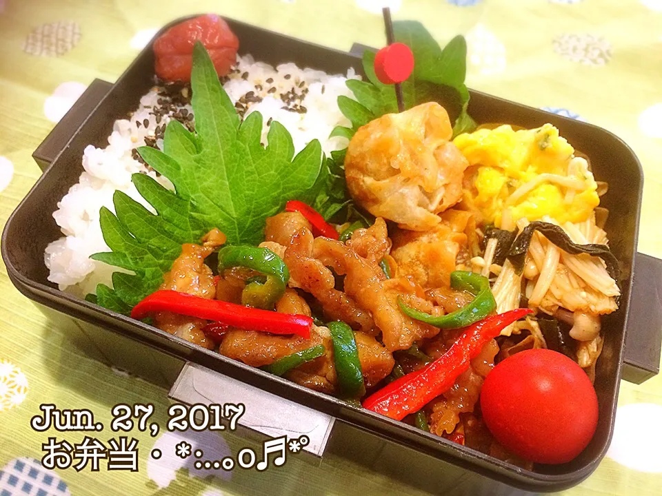 Snapdishの料理写真:2017/06/27お弁当〜♡#お弁当#中華弁当 #お弁当記録|いく❤️さん