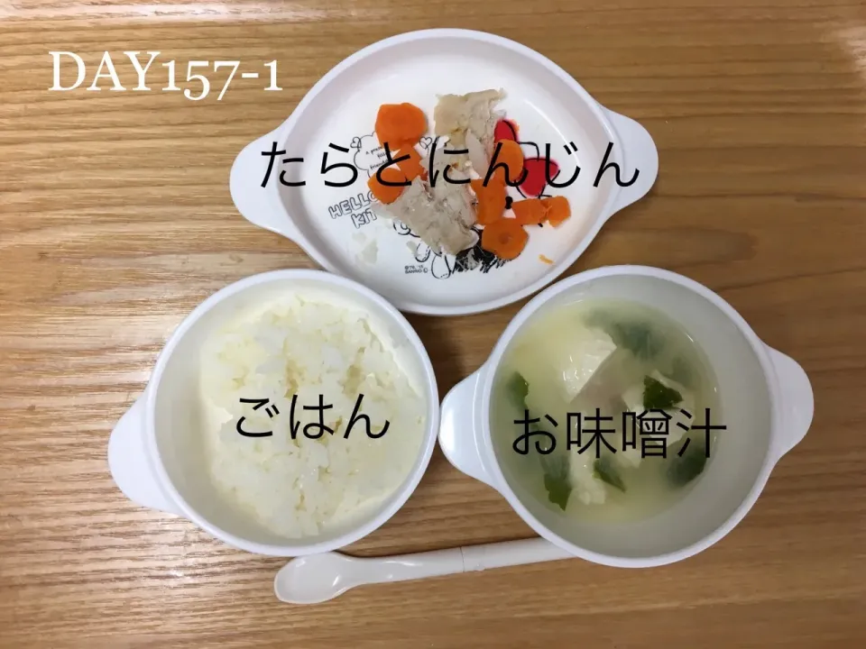 DAY157-1 #離乳食後期#pianokittybabyfood|離乳食完了期 1歳さん