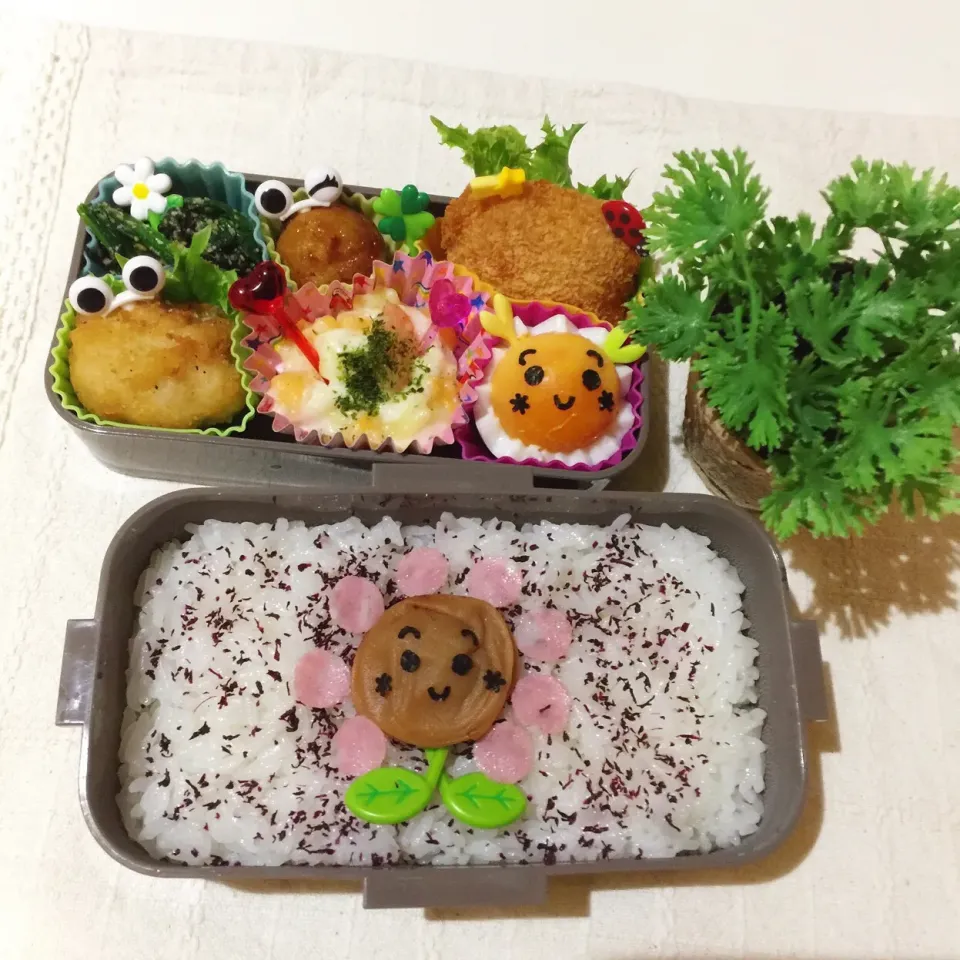 6/28❤︎娘のひまわり🌻日の丸お弁当❤︎|Makinsさん