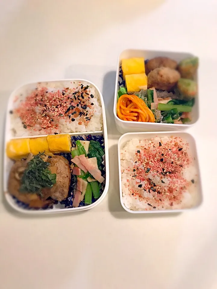 今日のお弁当|ずぅ🎶さん