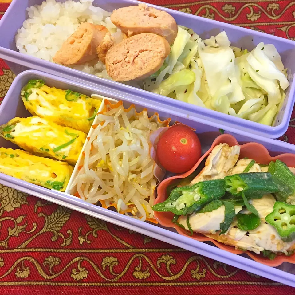 オクラと鶏ささみの胡麻和えともやしのナムルと焼き明太子弁当|もえさん