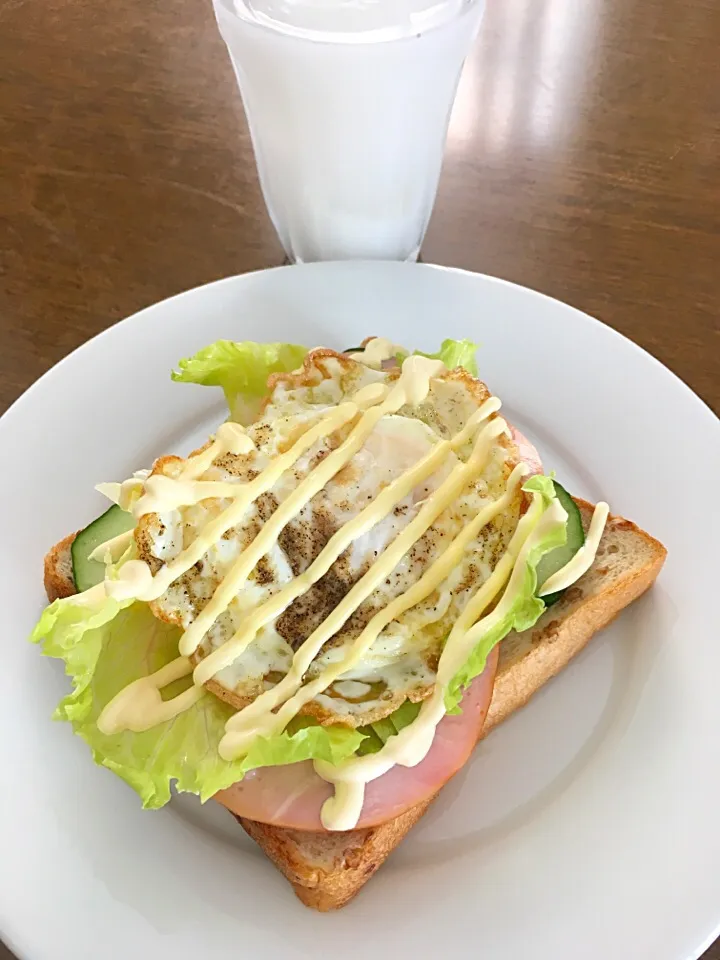 今日の朝食
ライ麦パンでオープンサンド
&低カロリーカルピス|Akemi Alexandruさん