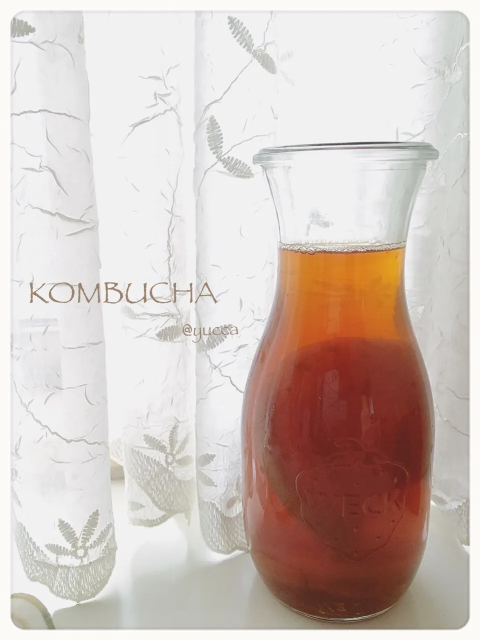 初めまして😌コンブチャ(Kombucha)です。 コブチャじゃないですよ😅|yucca@さん