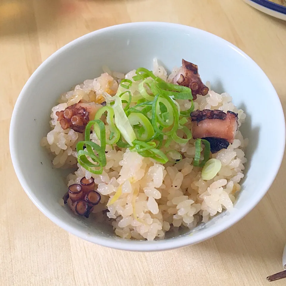 たこ飯🐙|たにもこさん