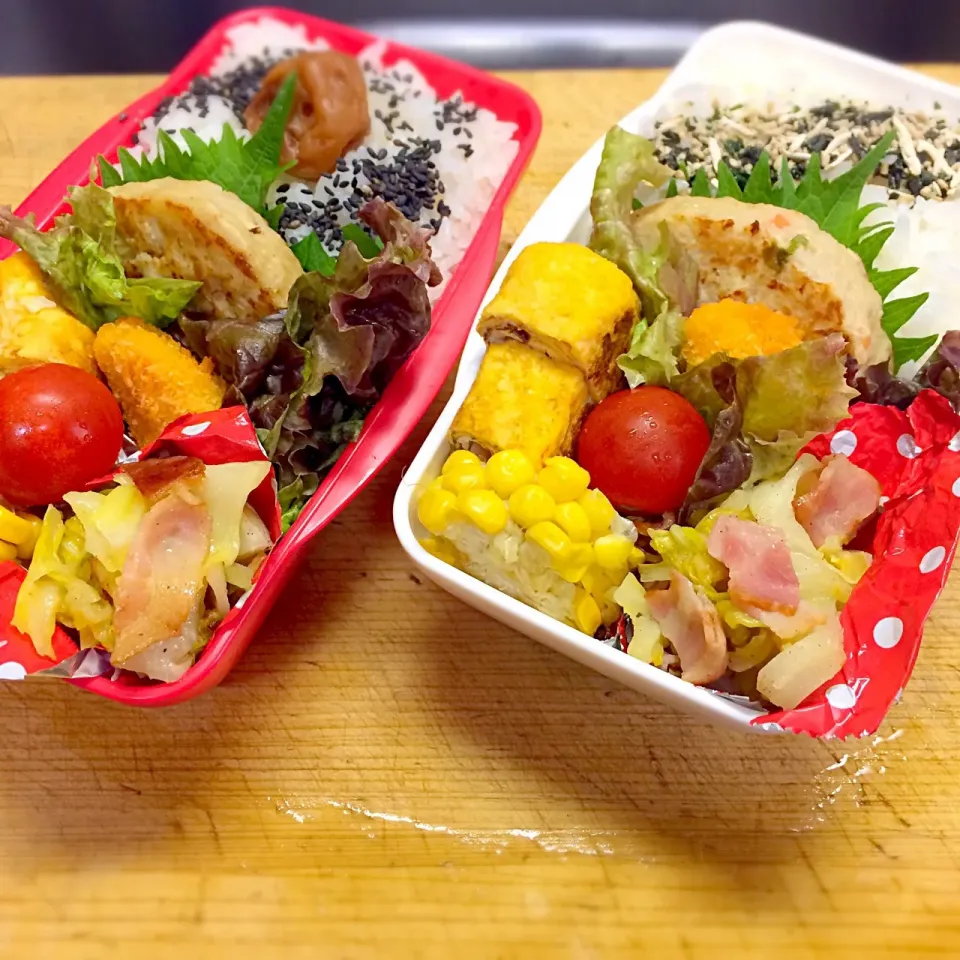 Snapdishの料理写真:女子高生弁当#豆腐ハンバーグ#たまごやき #|Eriko  Naraさん