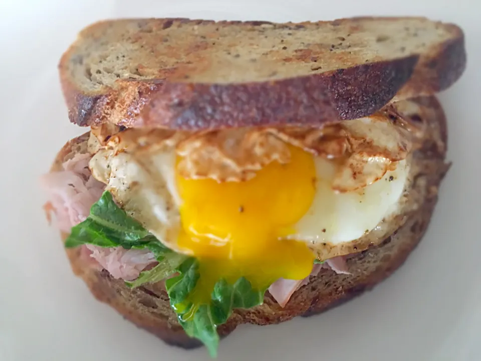 Fried egg breakfast sandwich with crispy ham #hellojuliaareyouthere|Ruby1228さん