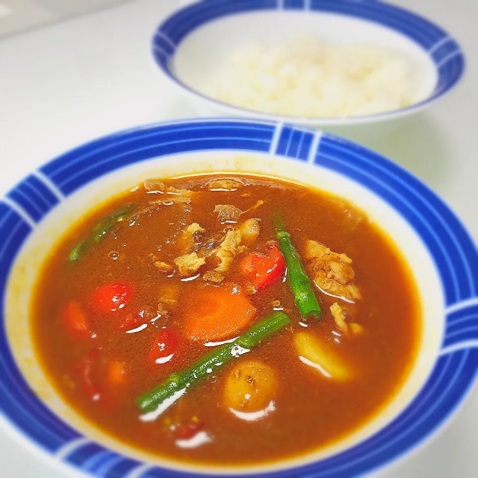 スープカレー 🍛 (๑˃̵ᴗ˂̵)و|bamazooさん