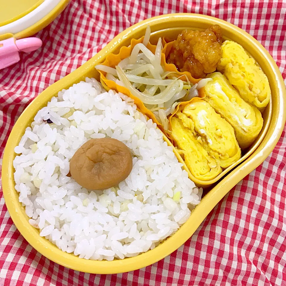 いつもと一緒のお弁当🍱でも昨日作ったもやしのナムル入れた|agnes2001さん