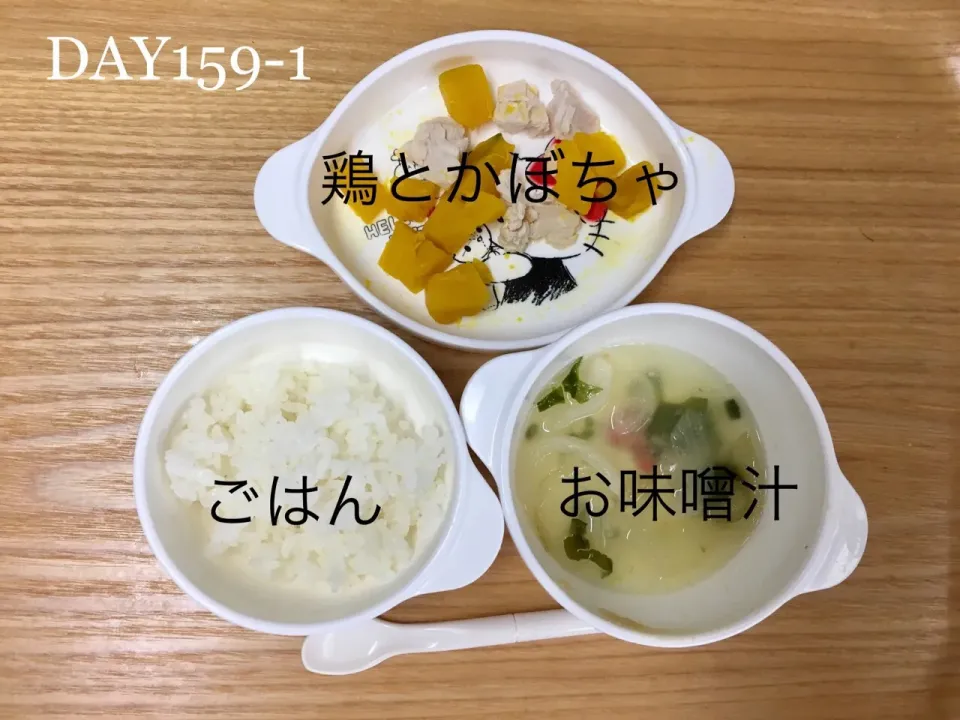 DAY159-1 #離乳食後期 #pianokittybabyfood|離乳食完了期 1歳さん