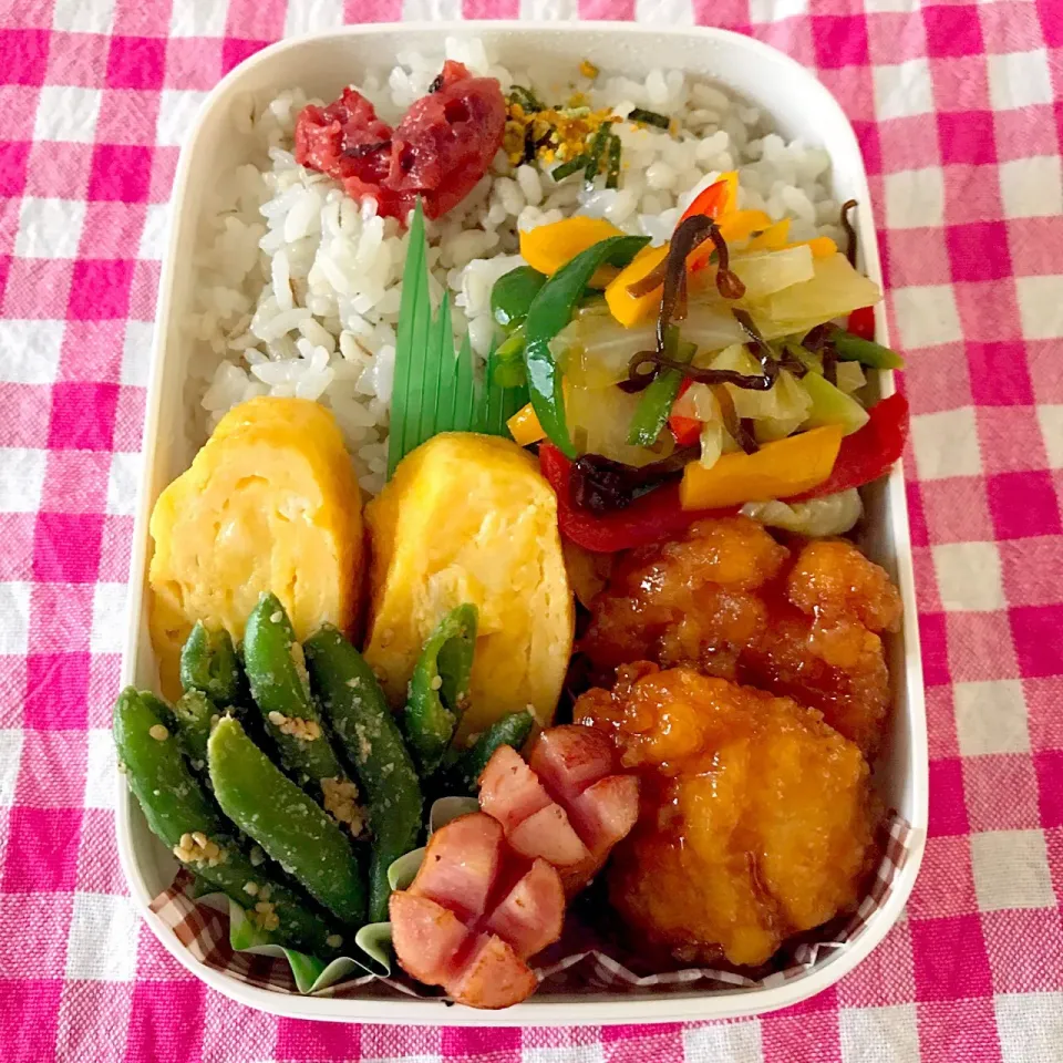 6/30 金曜日 お弁当🍱|palm👨‍❤️‍💋‍👨さん