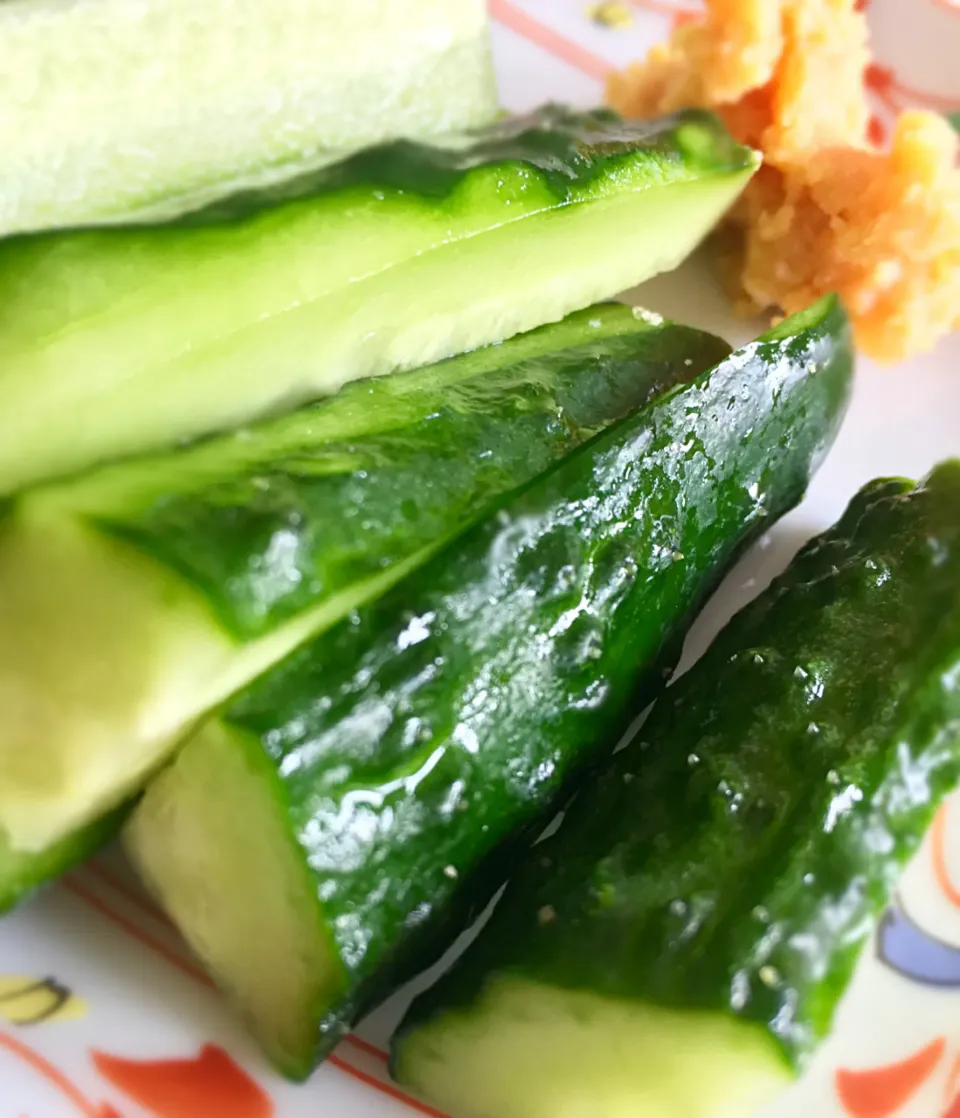 産地直送|ともさん