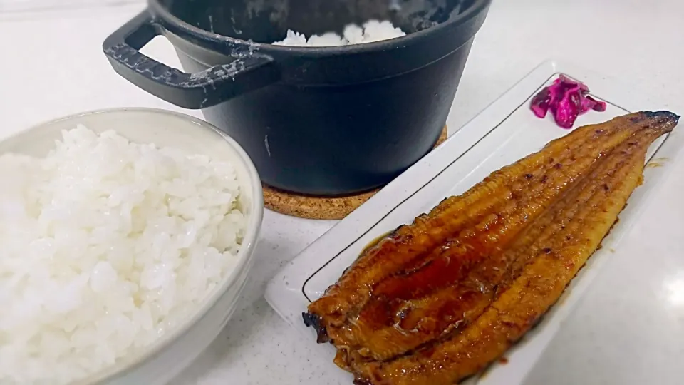 ストウブで炊いたご飯と鰻|こむぎさん