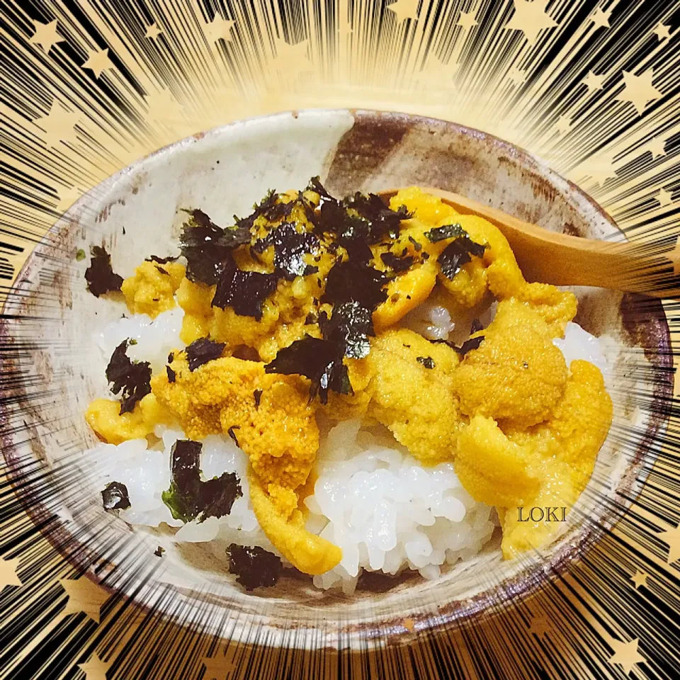 うに丼🍚‼️‼️‼️|LOKIさん