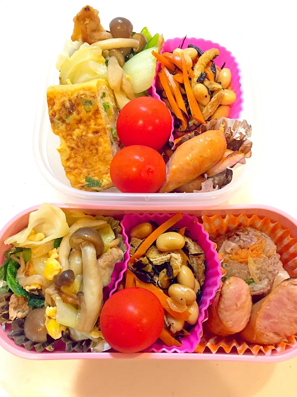 ♡今日のお弁当♡

#ウィンナー#青梗菜と豚ときのこの卵炒め#ネギ入り卵焼き#牛肉のお野菜巻き#プチトマト#ひじきの煮物|りんりんさん