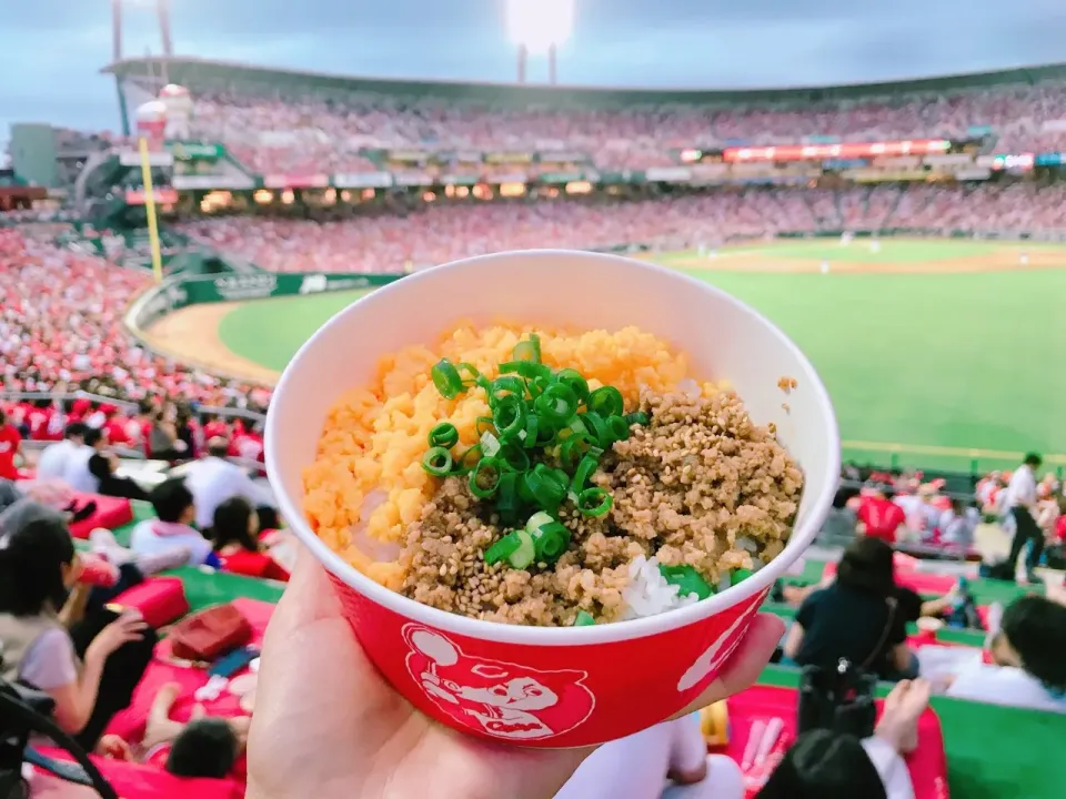 牛入りそぼろ丼|ちゃみこさん