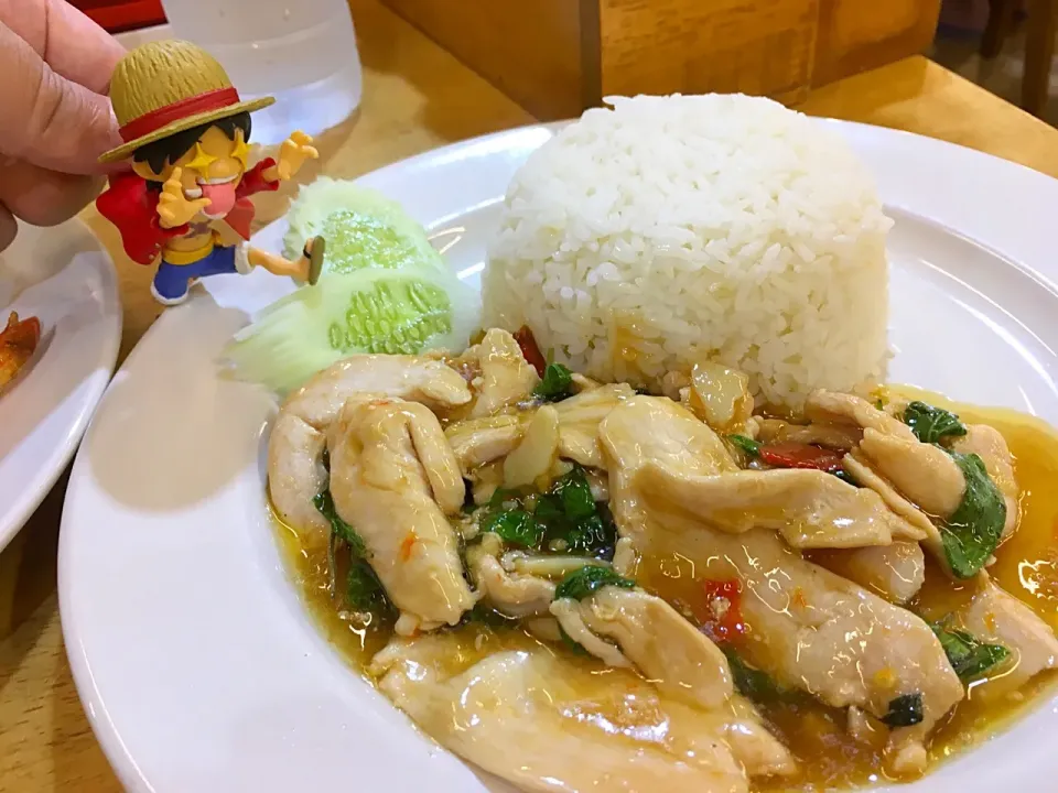 ผัดกะเพราไก่ パット・ガパオ・ガイ
☆鶏肉のバジル炒め@ที่พัทยา タイ パタヤ|akiさん