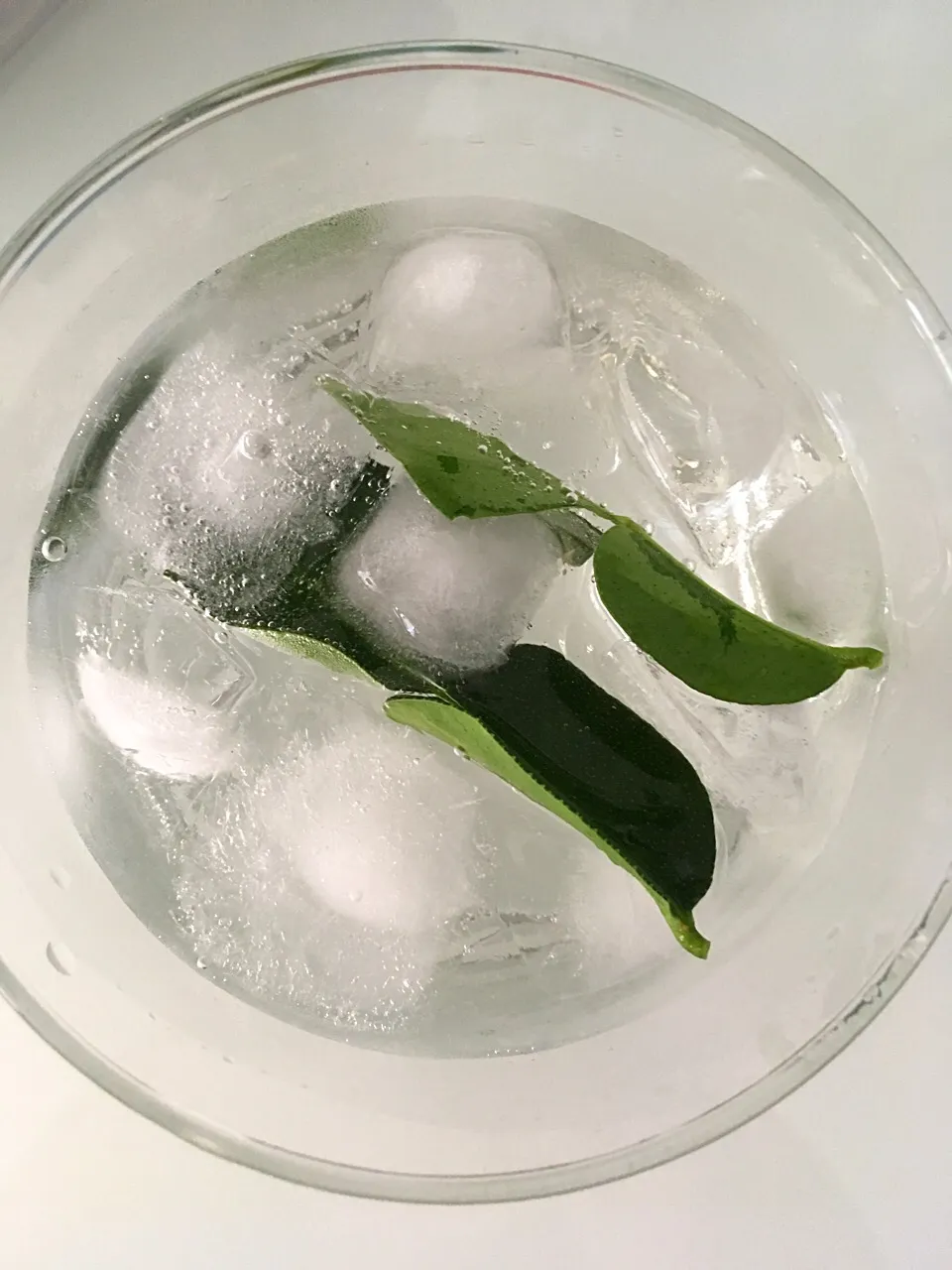 Monkey 47 gin with tonic water|Ong Sor Fernさん