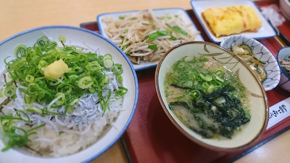 舞阪産しらす丼|ボンゴさん