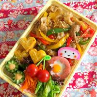 久々。今日の息子のお弁当2017/07/02