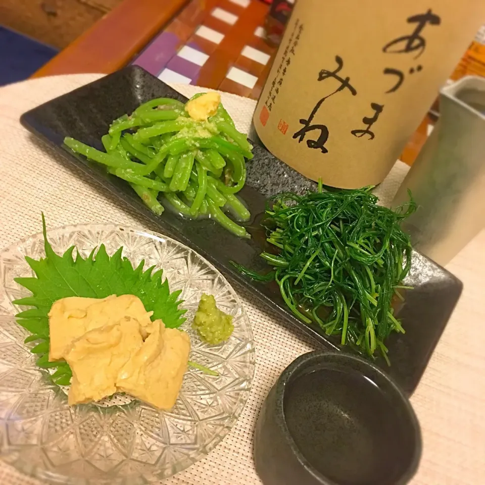 晩酌🍶 山うに豆腐、おかひじき、みず  #晩酌 #お取り寄せ #山うに豆腐 #山菜 #おかひじき #みず #あずまみね|たつやん。さん