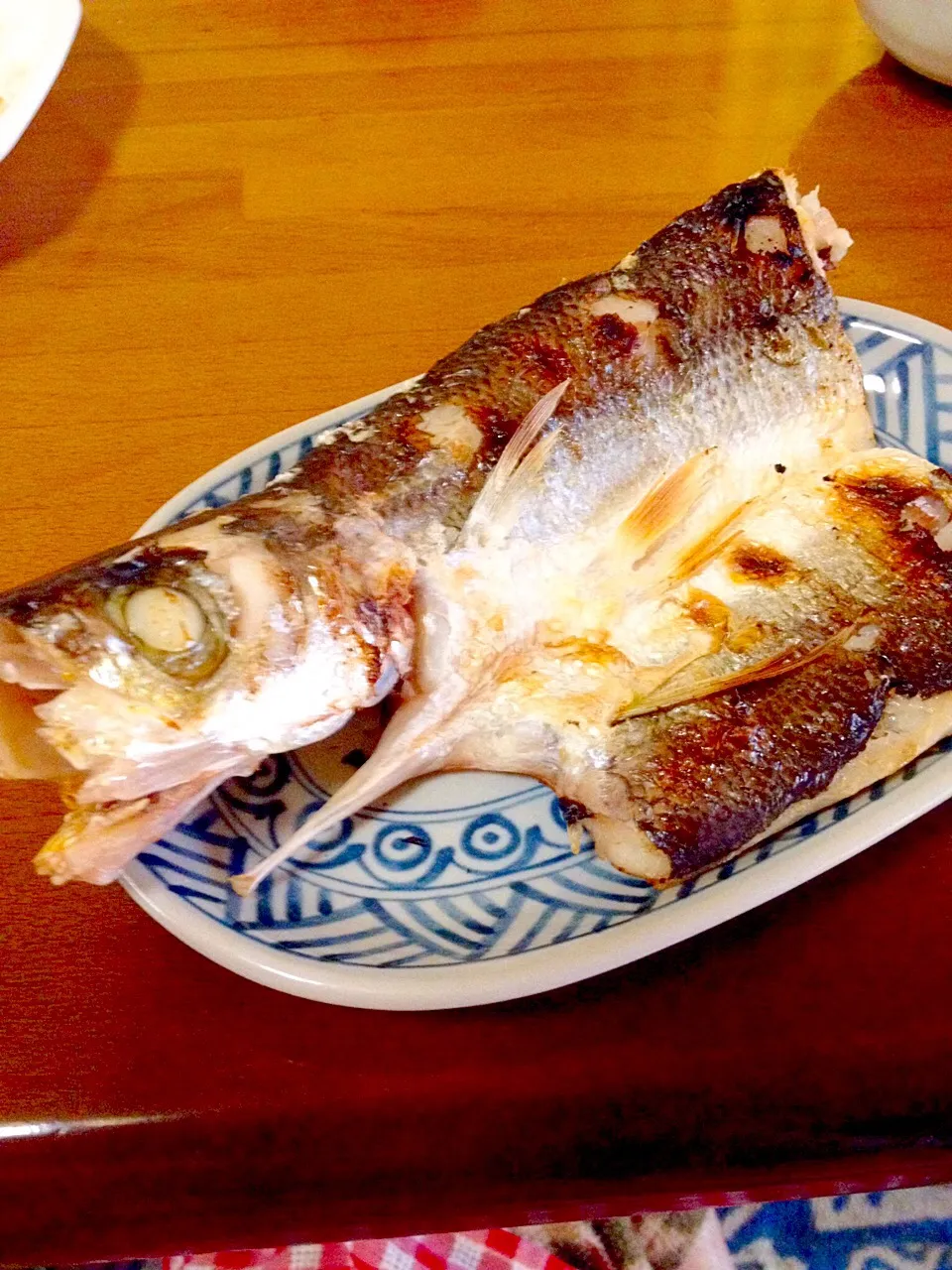 カマスの塩焼き✨大きくて魚焼きグリルに入らず💦|まいりさん