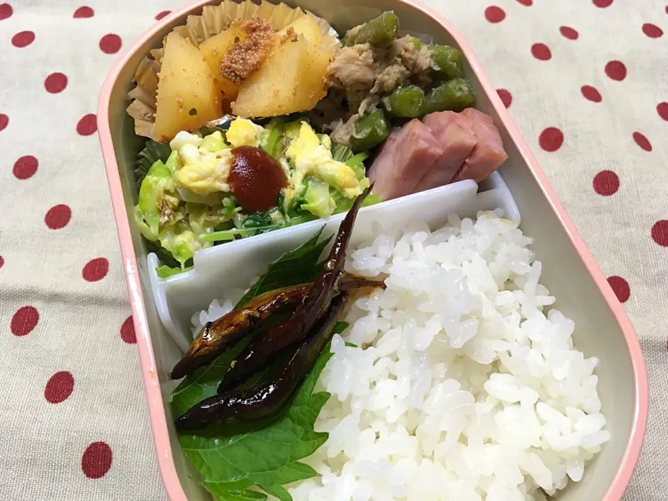 7月4日 台風接近中弁当|sakuramochiさん