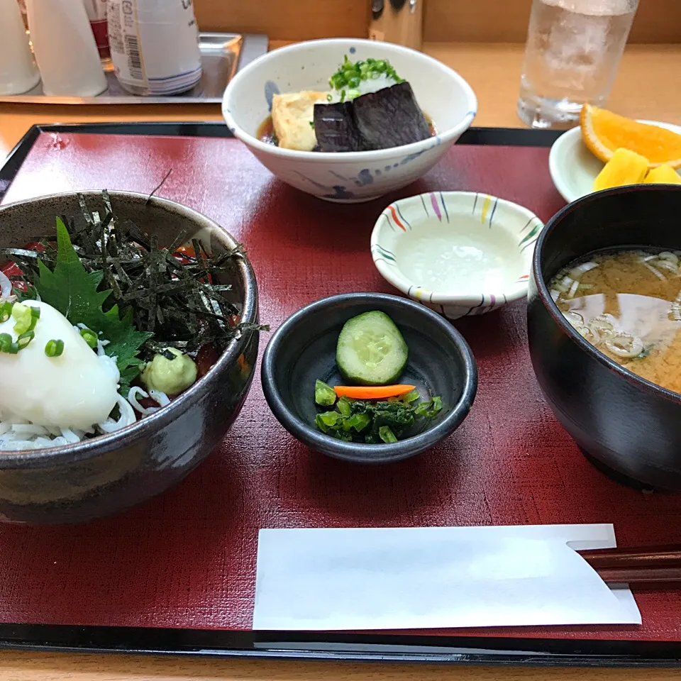 シラスまぐろ丼/茄子と豆腐揚げ出し/味噌汁|山内博之さん