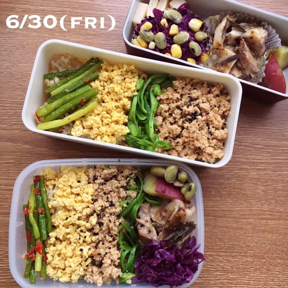 6/30お弁当|もっちさん