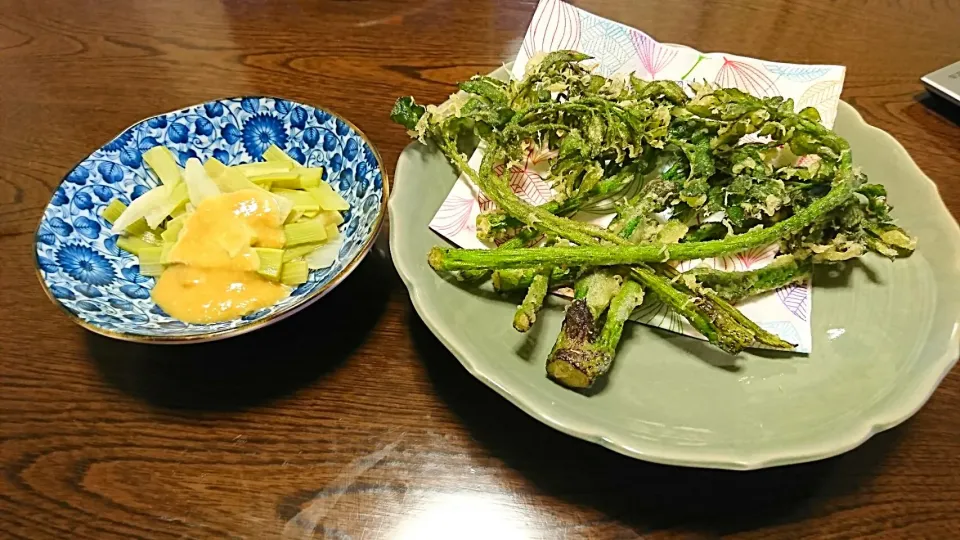 ラー山さんに頂いた山ウドで天ぷらとカラシ酢味噌和え|やかんちゃんさん