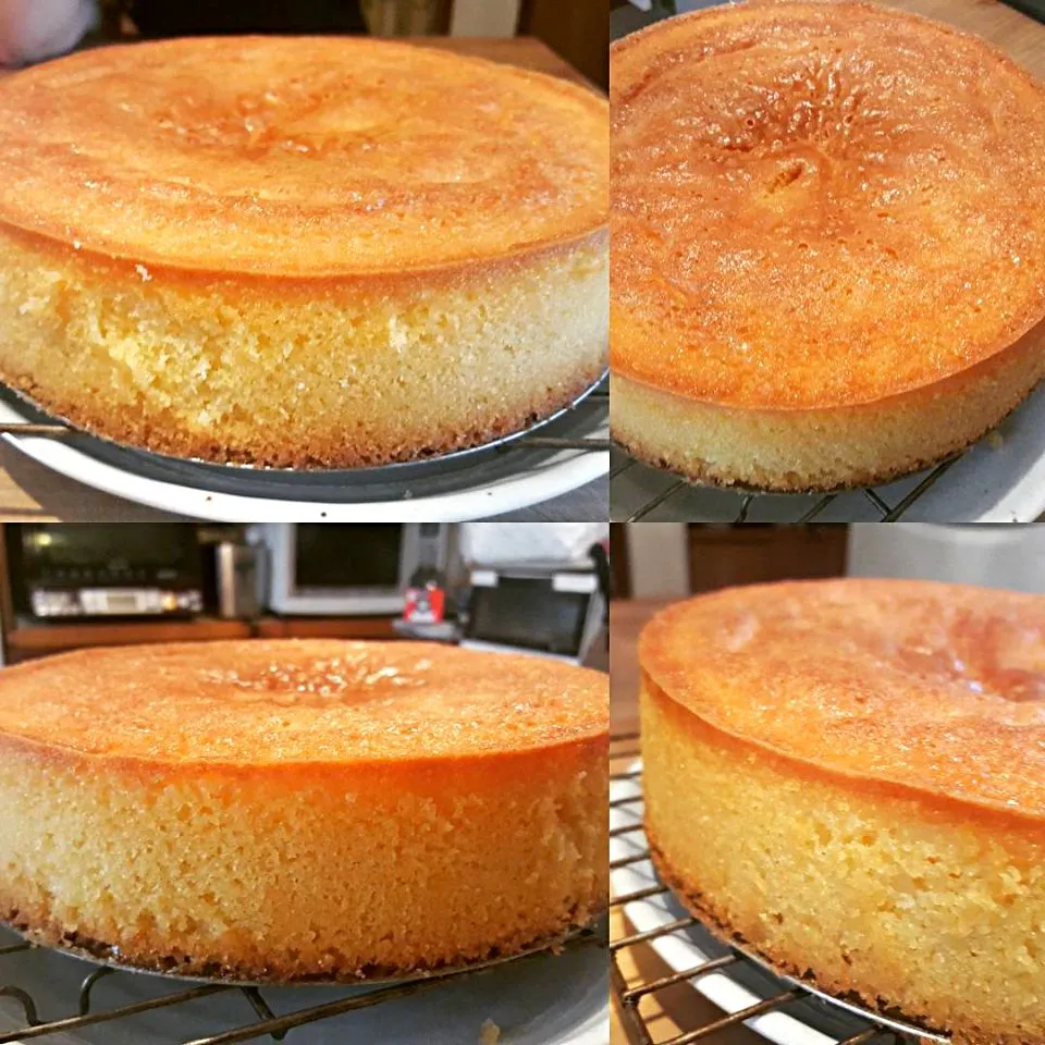 #Homebaking ##Chefemanuel 
Light Vanilla Sponge cake freshly made this morning for a friend of mine 
Love Cooking & (⌒0⌒)／~~ baking|Emanuel Hayashiさん