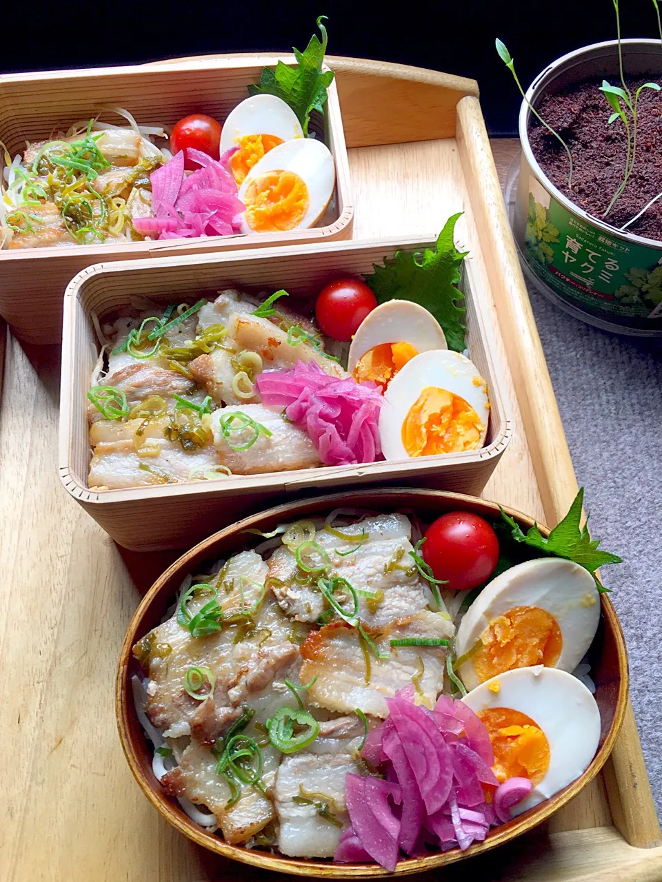 豚の塩だれ載っけ弁当|弁当 備忘録さん
