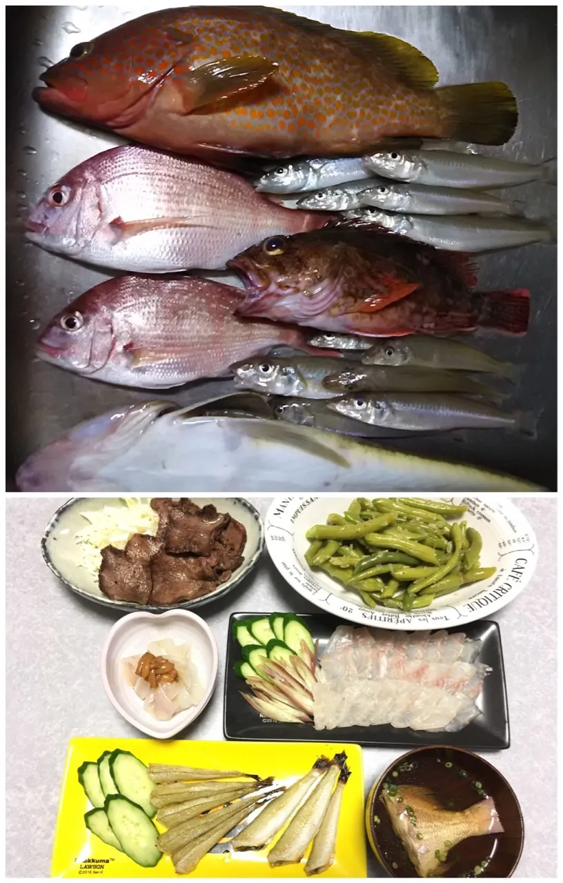 釣りの日は当然魚料理|Orie Uekiさん