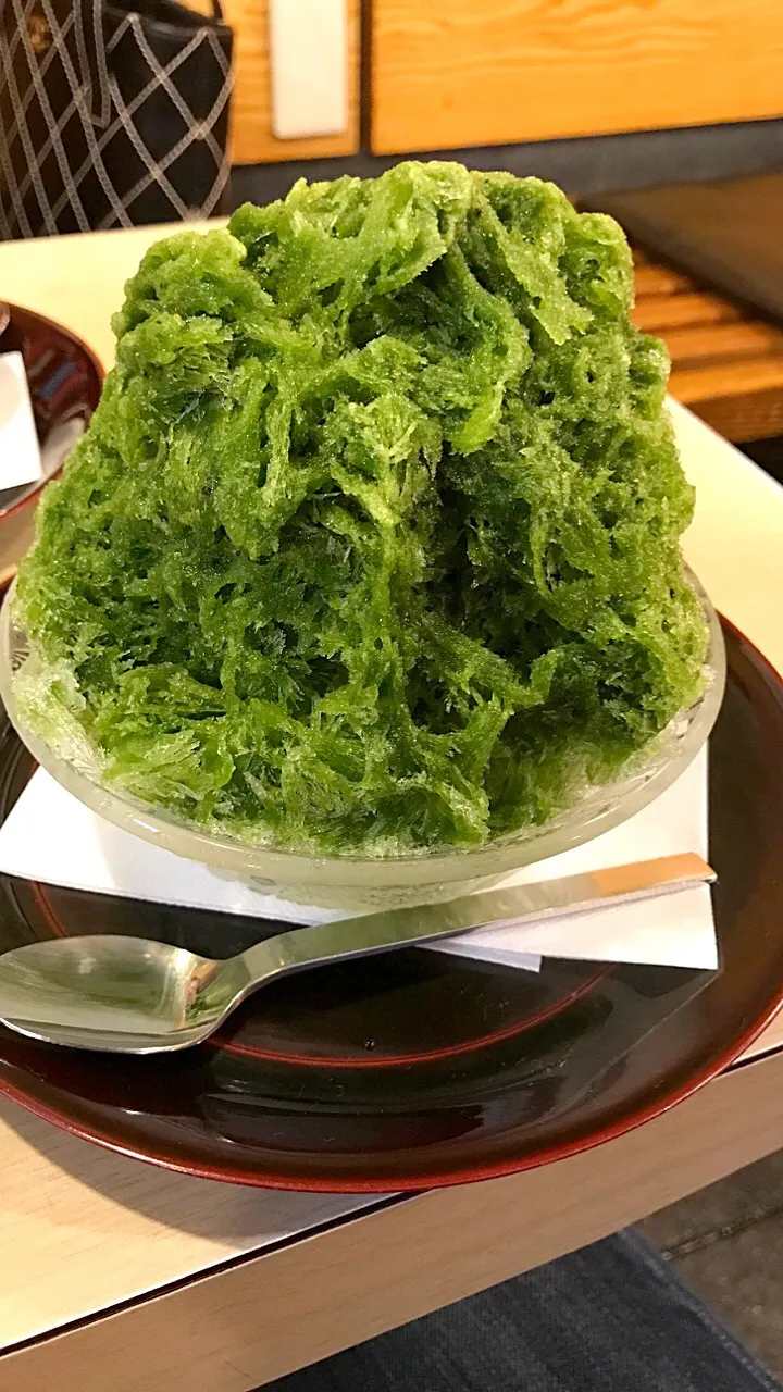 １５年ぶりに訪れた京都先斗町のカキ氷屋さん🍧お抹茶カキ氷が絶品なのですわ🍀カキ氷の美味しい夏が来ましたわね☀️|にゃあ（芸名）さん