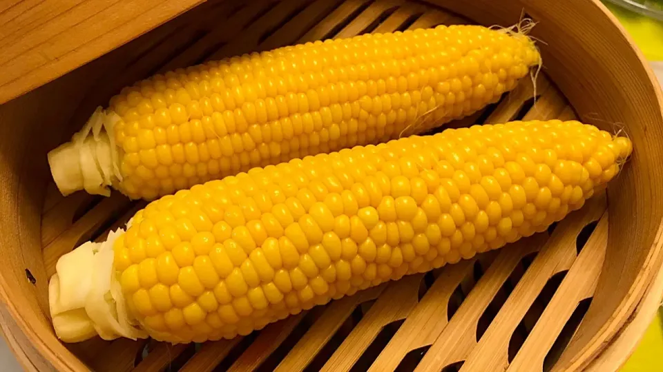 昼に食べ過ぎたので、夕食は質素にトウモロコシ🌽を蒸したもので節制…出来てないな🍶|にゃあ（芸名）さん