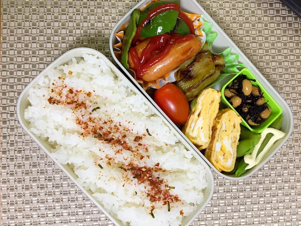 今日のお弁当🍱
ウインナーピーマン炒め・なす焼き・卵焼き・大豆ひじき・スナップエンドウ|2493さん