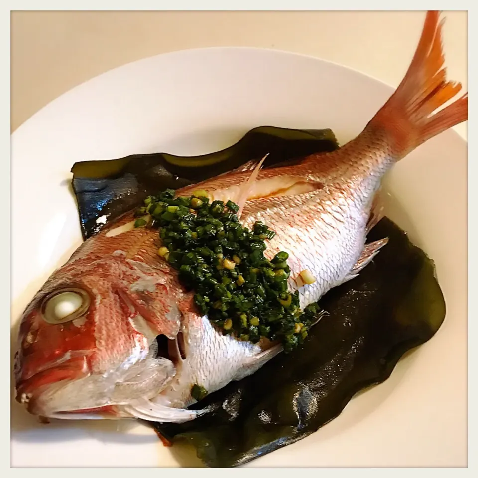 真鯛の昆布蒸し。Steamed  a Sea bream|toyamadaさん