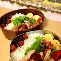 Snapdishの料理写真:ヒレカツ弁当🐷|itokayoさん