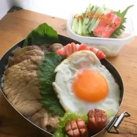 Snapdishの料理写真:7/13 息子弁当|emiさん