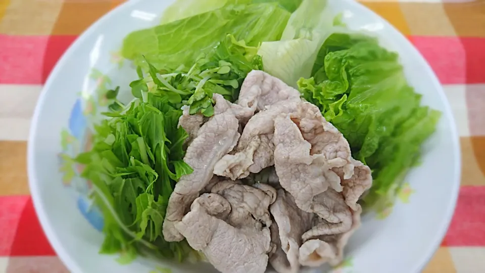 さっぱりレモンの豚しゃぶサラダ麺|よっしー(=^ェ^=)さん