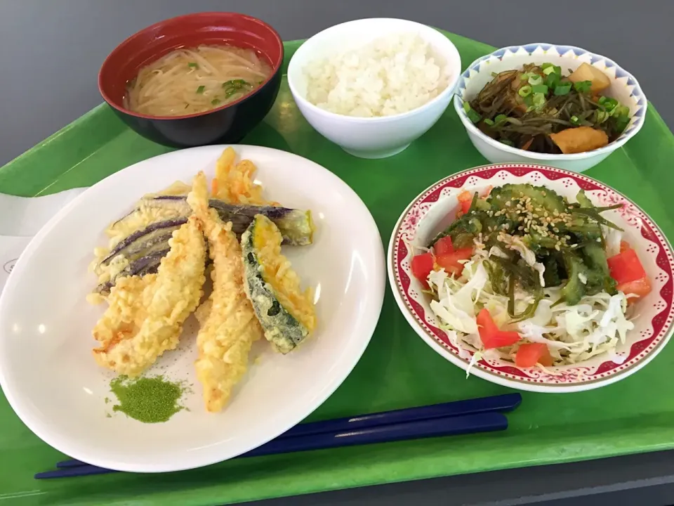 Snapdishの料理写真:鶏ささみと夏野菜の天ぷら、豚肉とゴーヤの沖縄風梅サラダ、切昆布とさつま揚煮|Tadahiko Watanabeさん