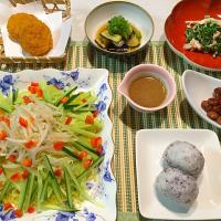 冷やし中華サラダ仕立て