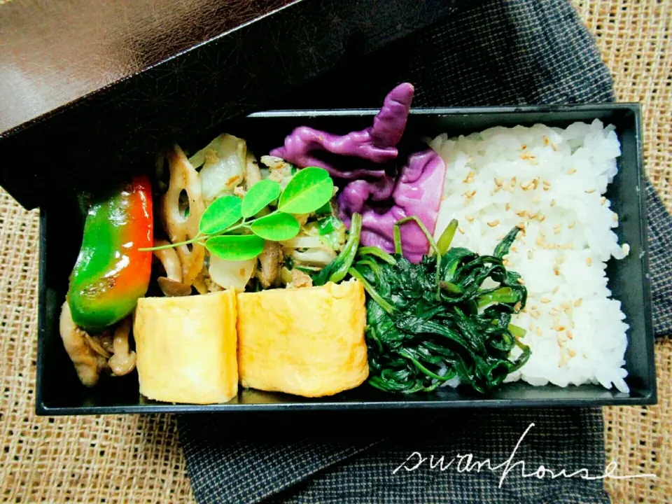 2017年7月14日 今日のお弁当|スワンハウスさん