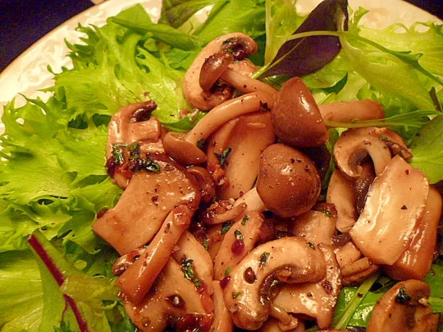 ｆａｉｒｙ　Ｔａｌｅさんのきのこドレッシングのサラダ #楽天レシピ|楽天レシピさん
